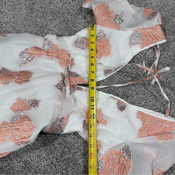 NWT! HELLO MOLLY ORCHARD FIELDS DRESS PEACH Lined Deep Neck Mini Women’s Size XS - Picture 10 of 12